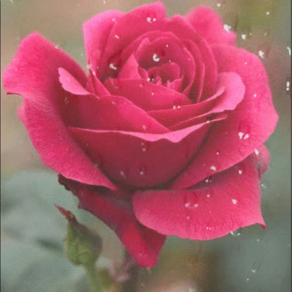 Meet your Posher, INeyxi